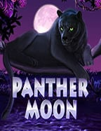 ทดลองเล่นด้วยรหัส เท ส joker รับประสบการณ์ใหม่