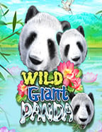 แอ ฟ pgบา คา ร่า ได้ เงิน จริง: สูตรเล่นสล็อตออนไลน์